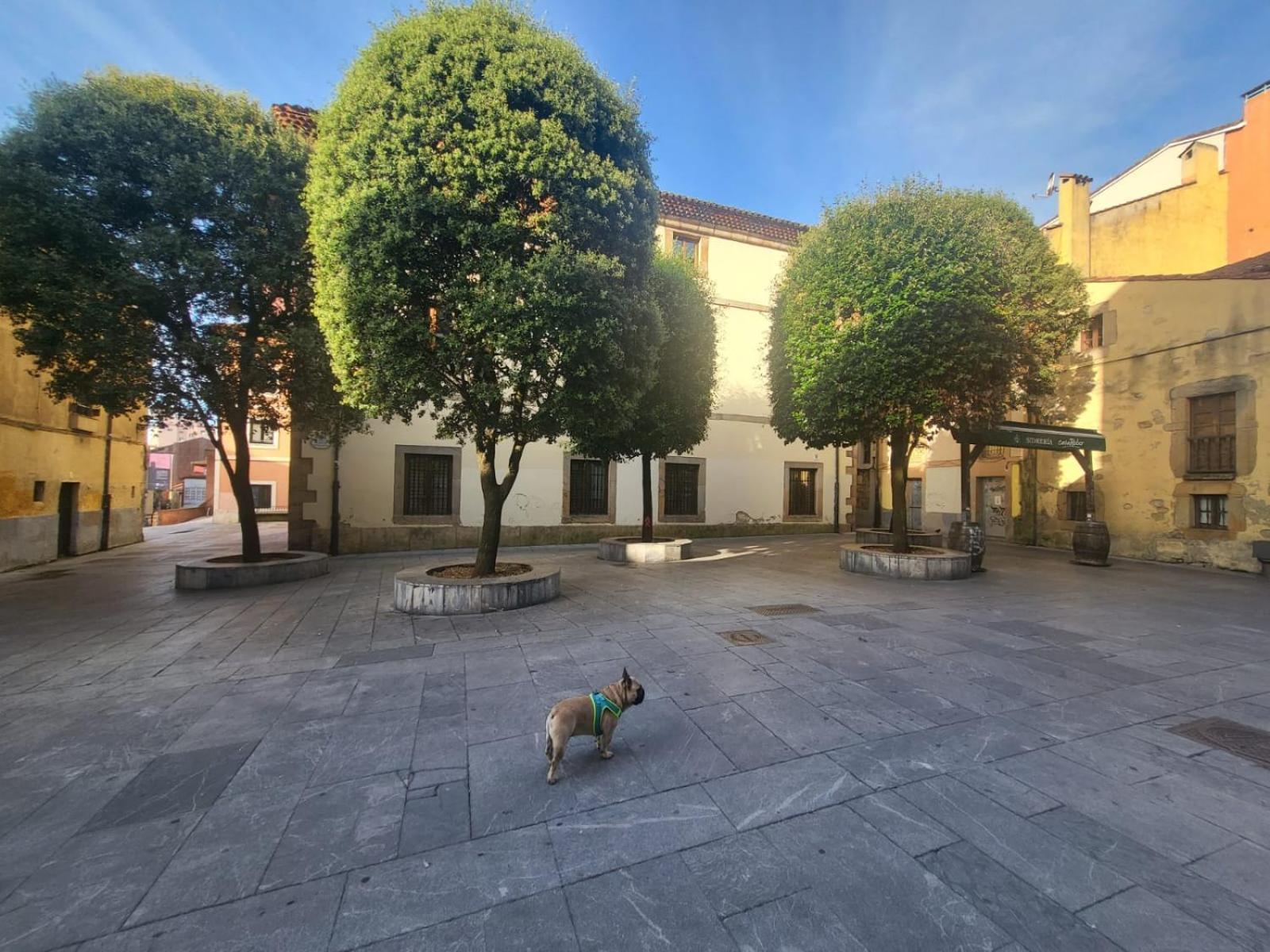 Apartamento The Blue Nest Gijón Exterior foto